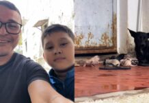 Pai e filho resgatam oito filhotes recém nascidos da chuva em Boa Vista Pai e filho resgatam oito filhotes recém nascidos da chuva em Boa Vista