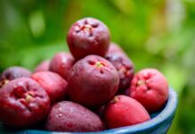 Jambo é aliado da saúde do coração e pode ajudar a prevenir problemas cardiovasculares, apontam estudos nutricionais