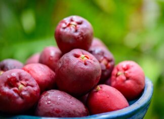 Jambo é aliado da saúde do coração e pode ajudar a prevenir problemas cardiovasculares, apontam estudos nutricionais